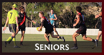 Hervey Bay Bombers - Seniors